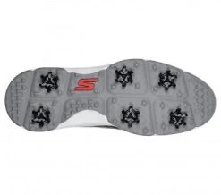 Skechers Go Golf Torque Golf Shoes 54541 -Golf Club Shop Skechers Golf Torque Shoes 54541 159